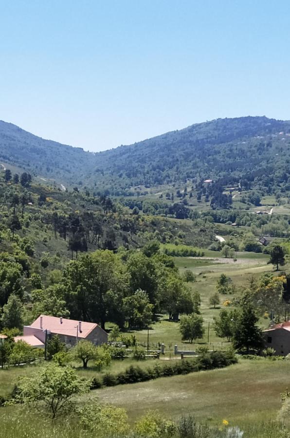 גוארדה Turismo Rural Macieira Brava מראה חיצוני תמונה