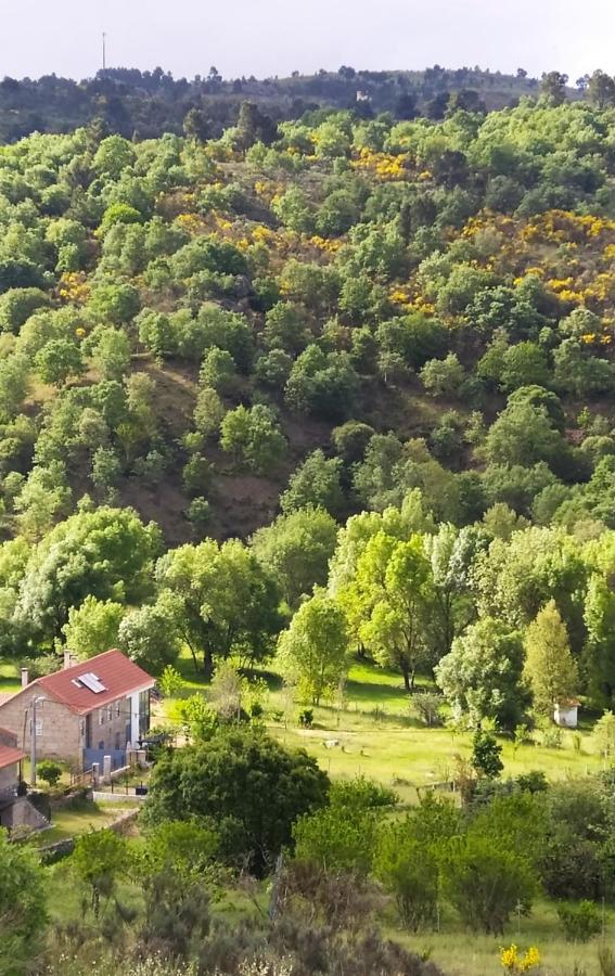 גוארדה Turismo Rural Macieira Brava מראה חיצוני תמונה