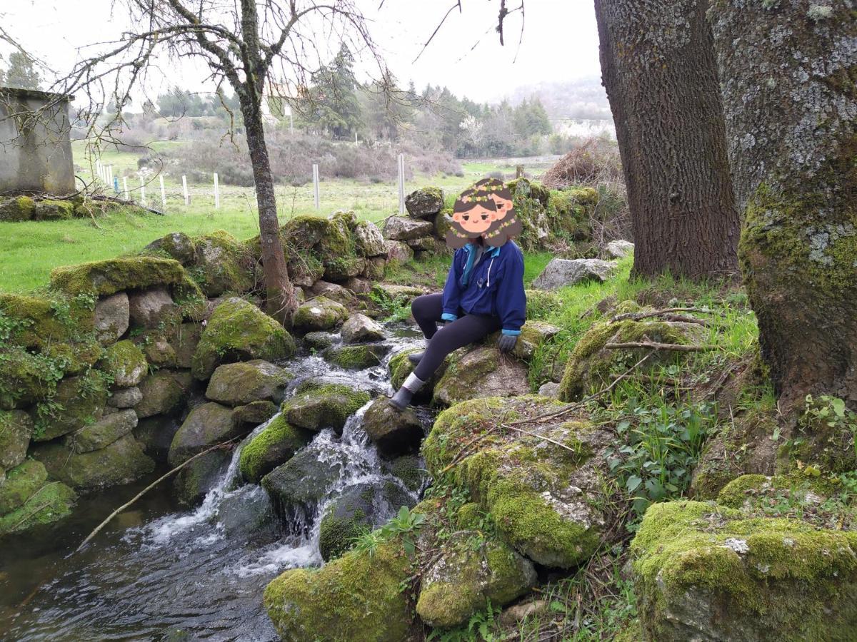 גוארדה Turismo Rural Macieira Brava מראה חיצוני תמונה