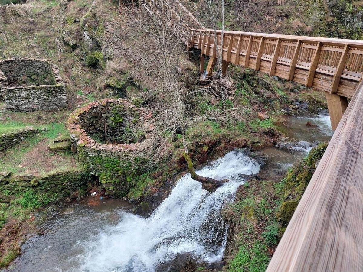 גוארדה Turismo Rural Macieira Brava מראה חיצוני תמונה