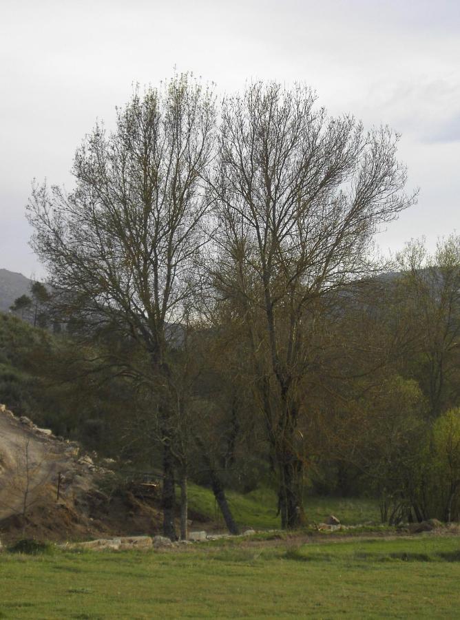 גוארדה Turismo Rural Macieira Brava מראה חיצוני תמונה
