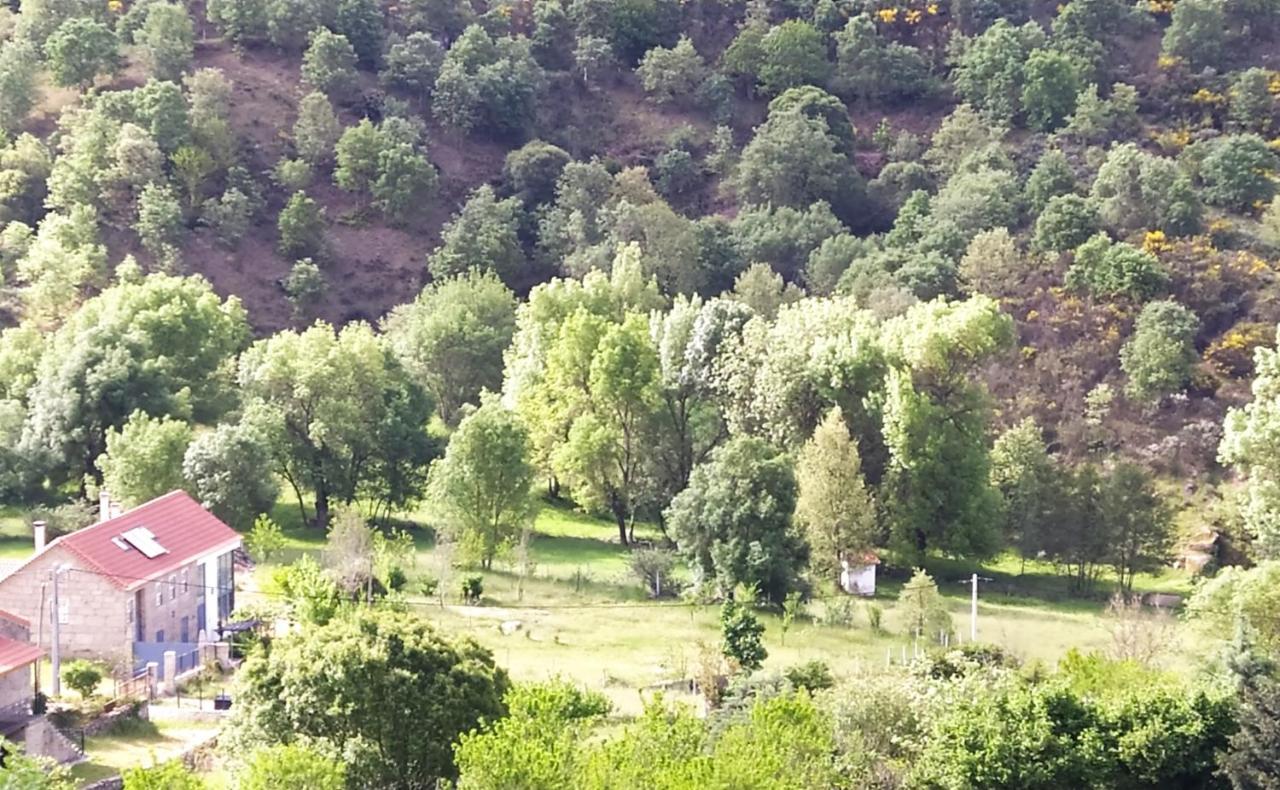 גוארדה Turismo Rural Macieira Brava מראה חיצוני תמונה